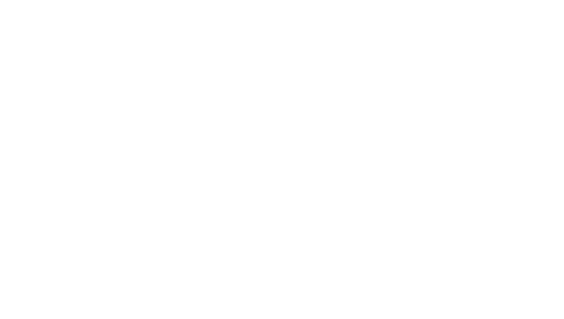 The Innovation Project